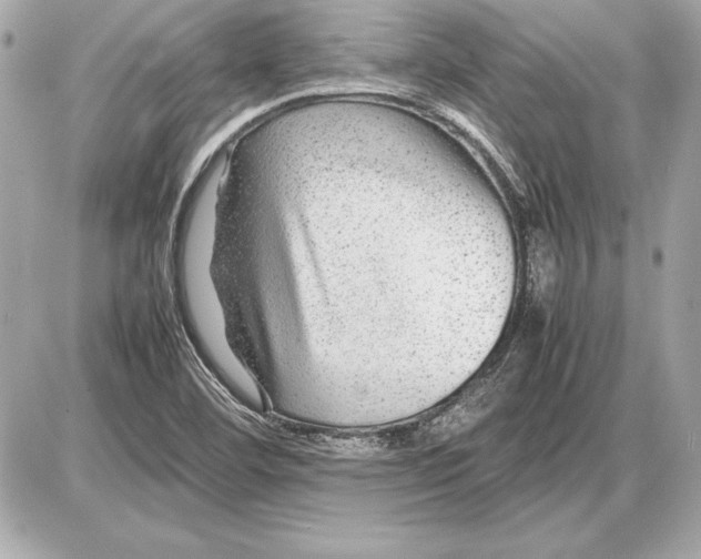 X0000085831460200704091645