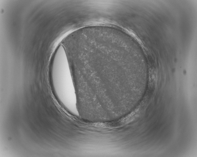 X0000085831463200704091645