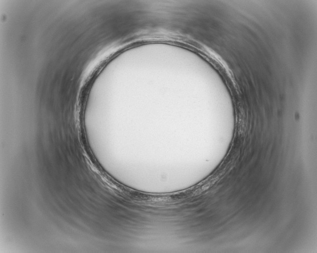 X0000085831464200704091645