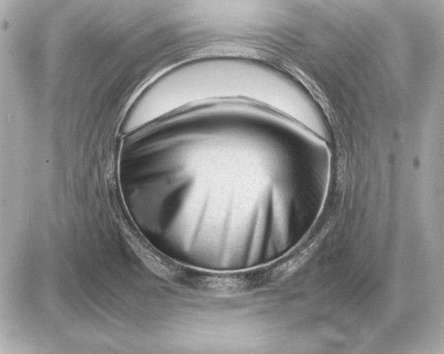 X0000085831465200704091645