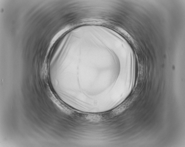 X0000085831466200704091645