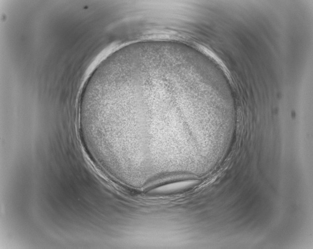 X0000085831467200704091645