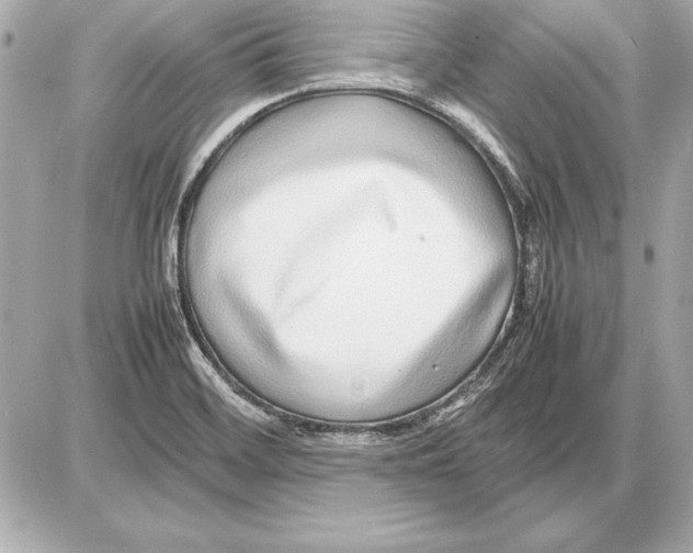 X0000085831468200704091645