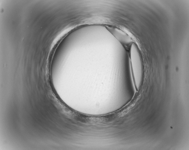 X0000085831469200704091645