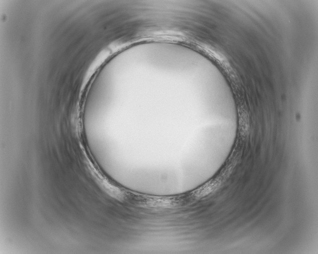 X0000085831470200704091645