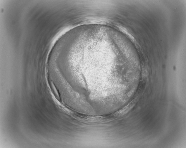 X0000085831471200704091645