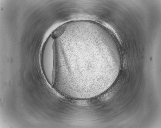 X0000085831472200704091645