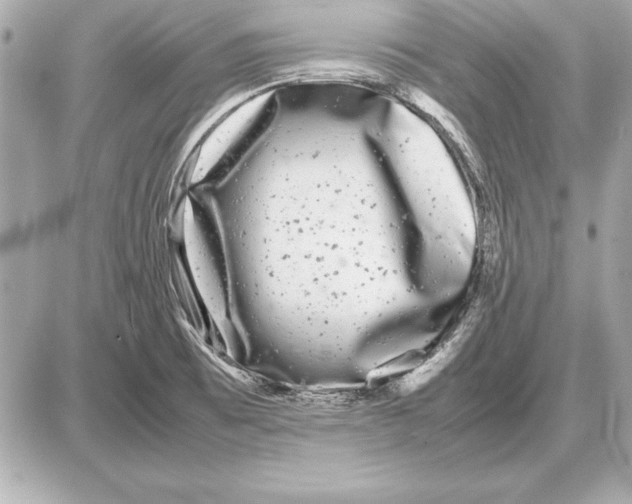 X0000085831473200704091645