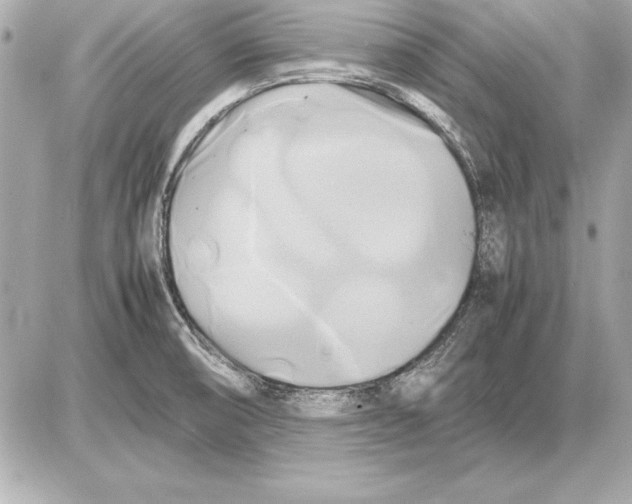 X0000085831474200704091645