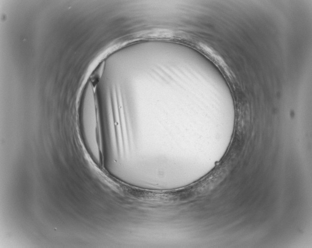 X0000085831475200704091645