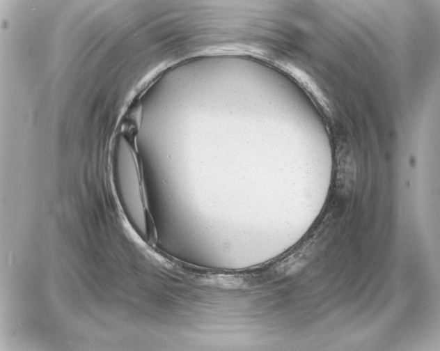 X0000085831476200704091645