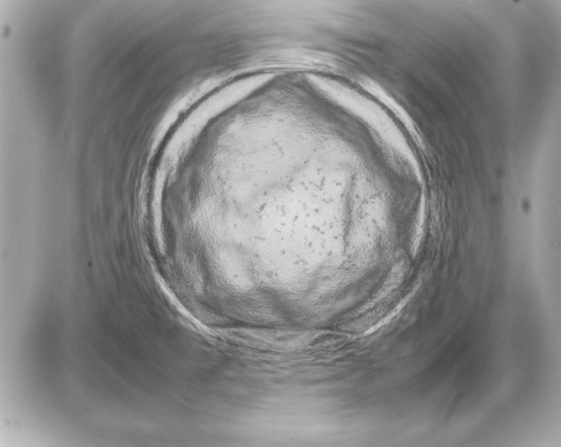 X0000085831477200704091645