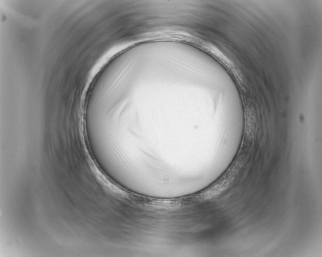 X0000085831478200704091645