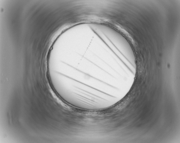 X0000085831479200704091645