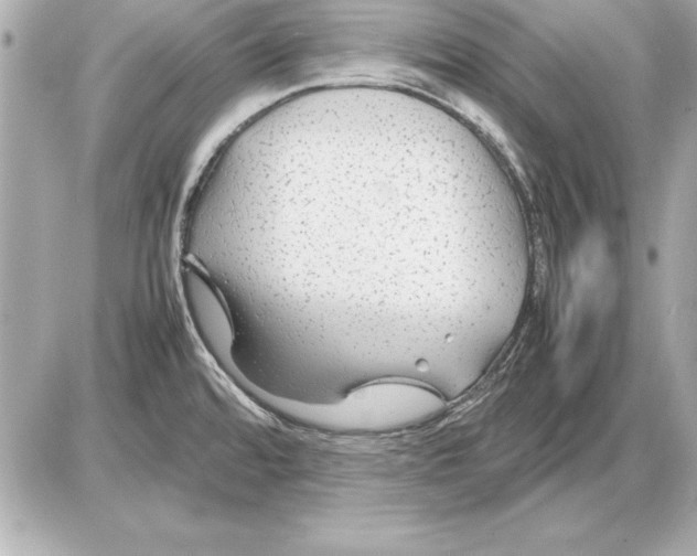 X0000085831480200704091645