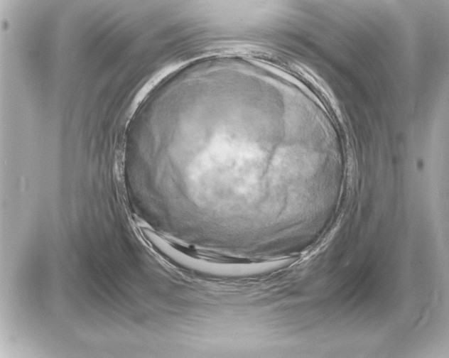 X0000085831481200704091645