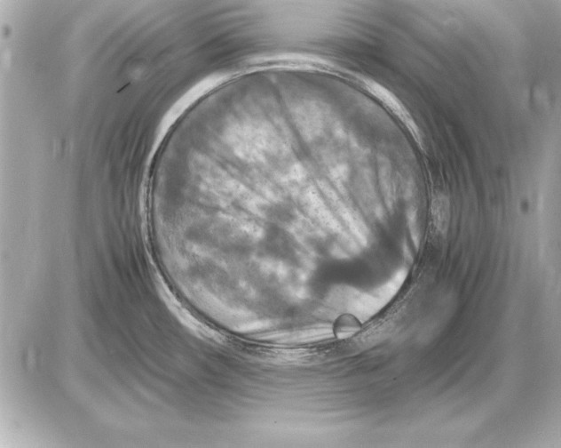 X0000085831482200704091645