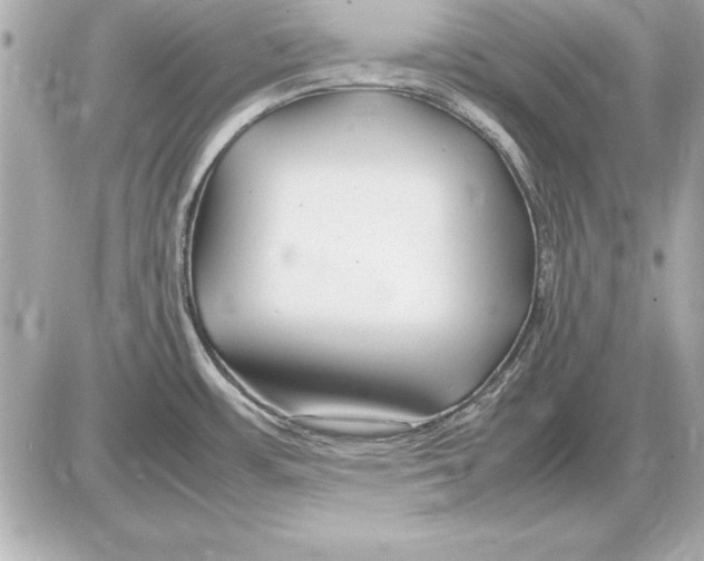 X0000085831483200704091645