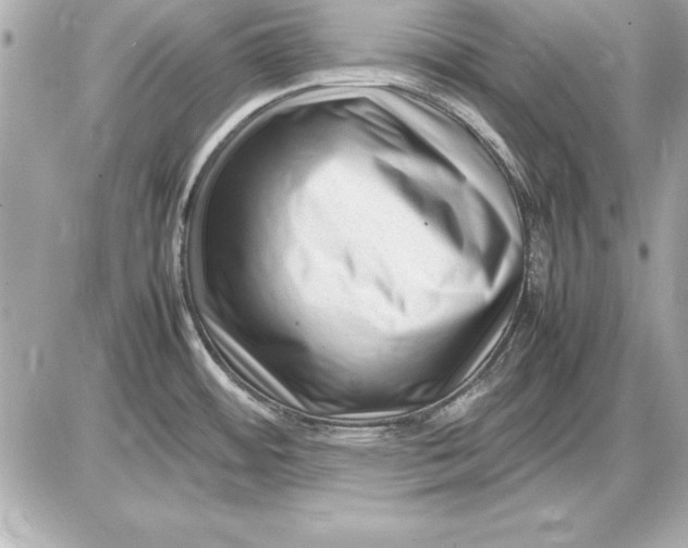 X0000085831484200704091645