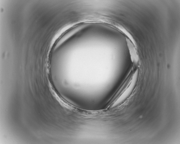 X0000085831485200704091645