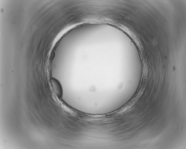 X0000085831486200704091645