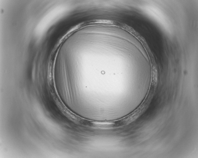 X0000085831487200704091645