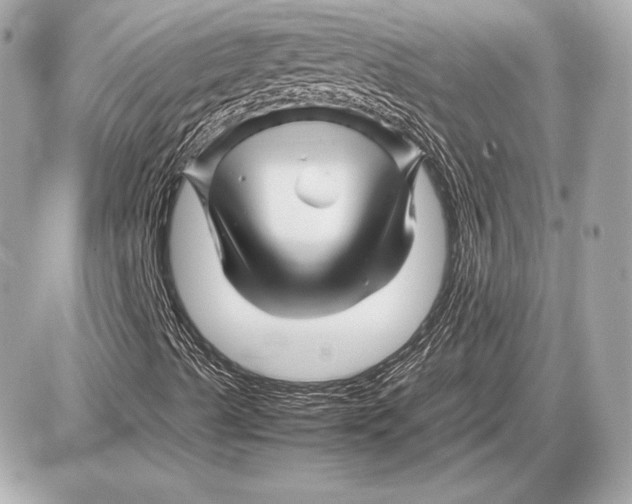 X0000085831489200704091644