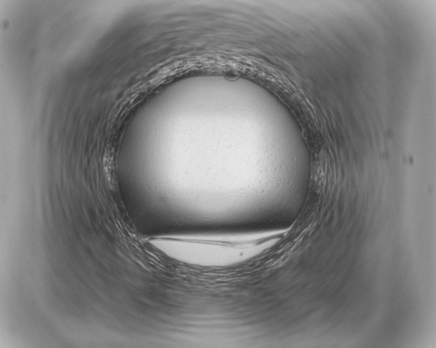 X0000085831490200704091644