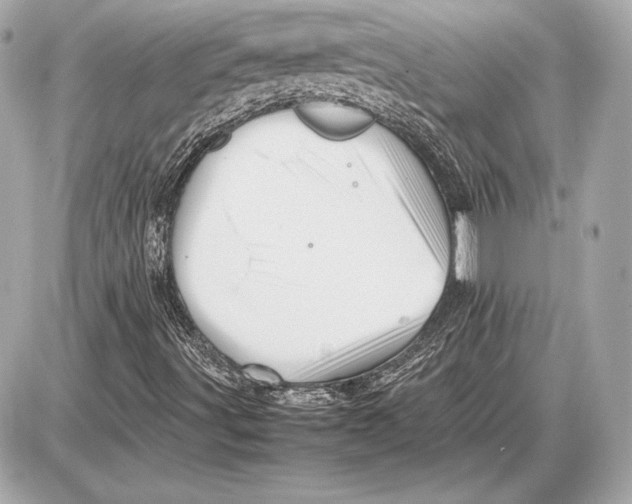 X0000085831491200704091644