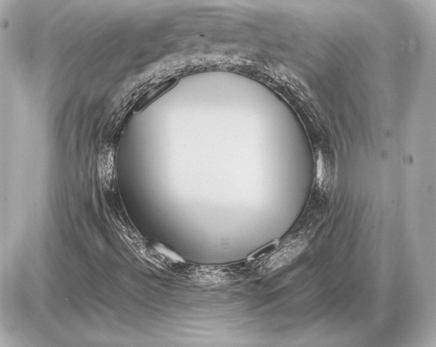 X0000085831492200704091644