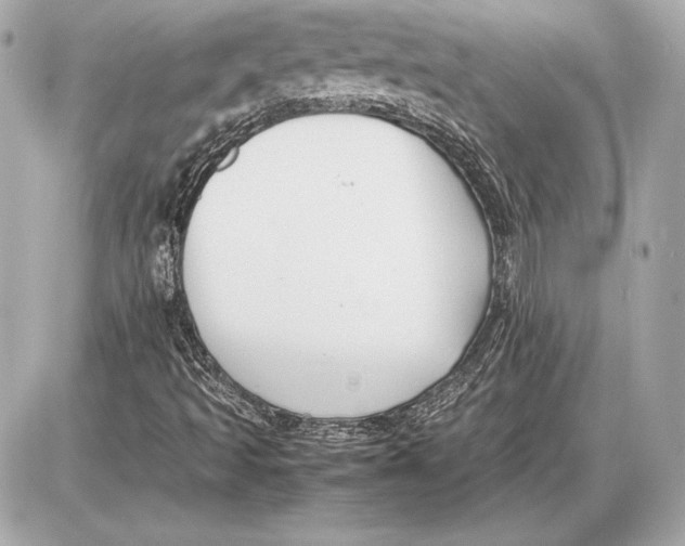 X0000085831493200704091644