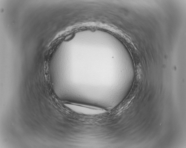 X0000085831494200704091644