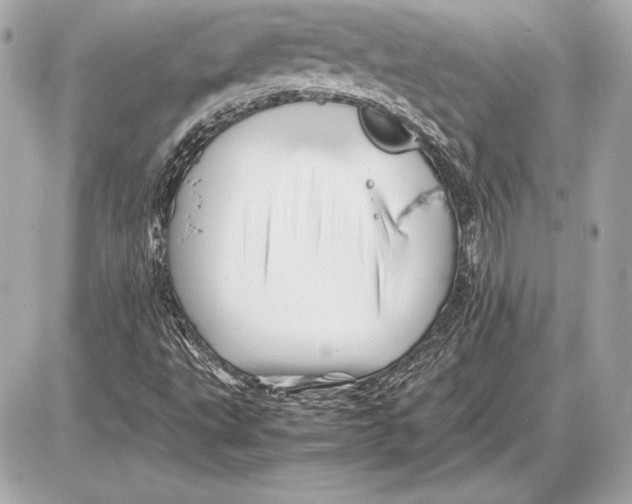 X0000085831495200704091644