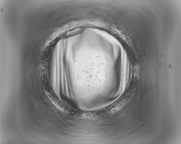 X0000085831496200704091644