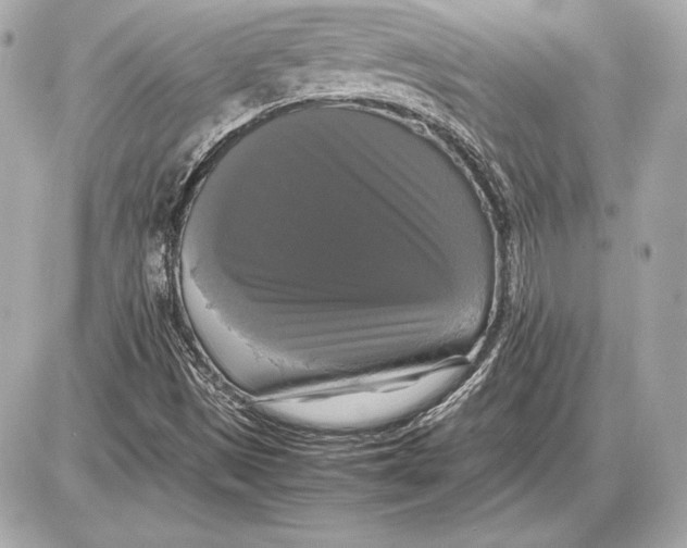 X0000085831497200704091644