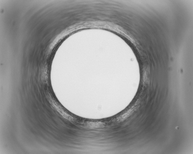 X0000085831498200704091644