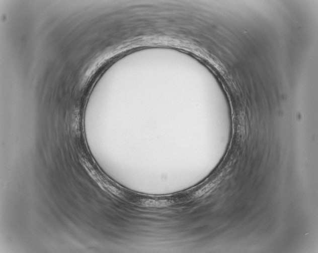 X0000085831499200704091644