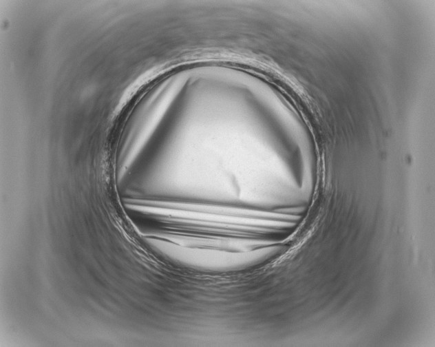 X0000085831501200704091644