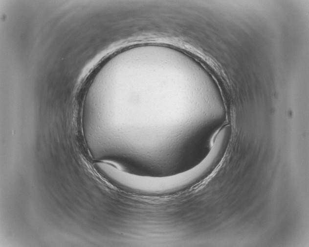 X0000085831502200704091644