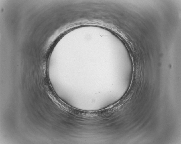 X0000085831503200704091644