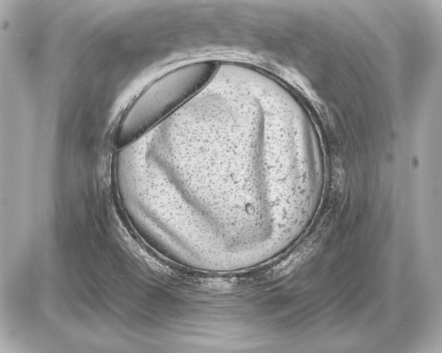 X0000085831504200704091644