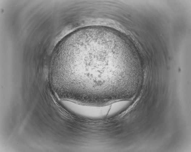 X0000085831505200704091644