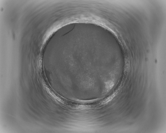 X0000085831506200704091644