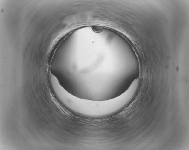 X0000085831507200704091644