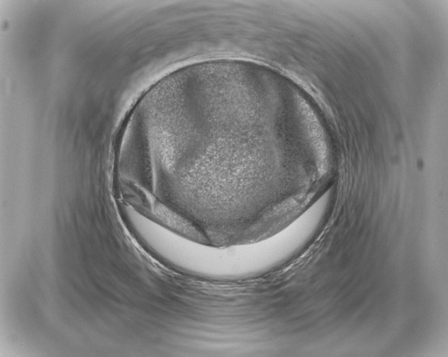 X0000085831508200704091644