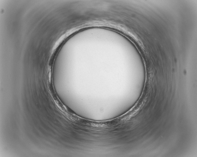 X0000085831509200704091644