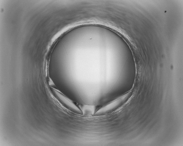 X0000085831510200704091644