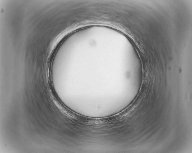 X0000085831511200704091644