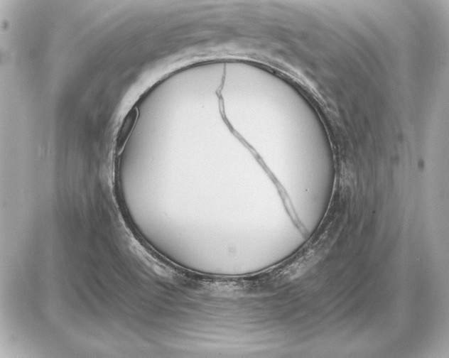 X0000085831512200704091644