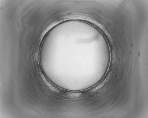 X0000085831513200704091644